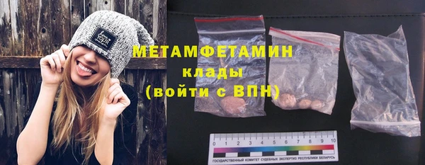 шишки Белокуриха