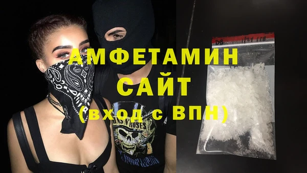 шишки Белокуриха
