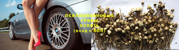 каннабис Богородицк