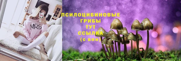 каннабис Богородицк