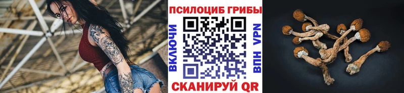 Купить Воскресенск Псилоцибиновые грибы Cubensis